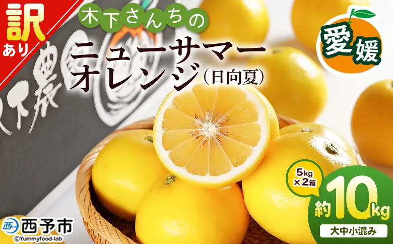 ＜木下さんちのニューサマーオレンジ 訳あり 約10kg（大中小サイズ混み）＞ 柑橘類 日向夏 ミカン 蜜柑 果物 くだもの フルーツ 国産 特産品 木下農園 愛媛県 西予市【常温】『2027年4月上旬～5月中旬に順次出荷』MKS0008