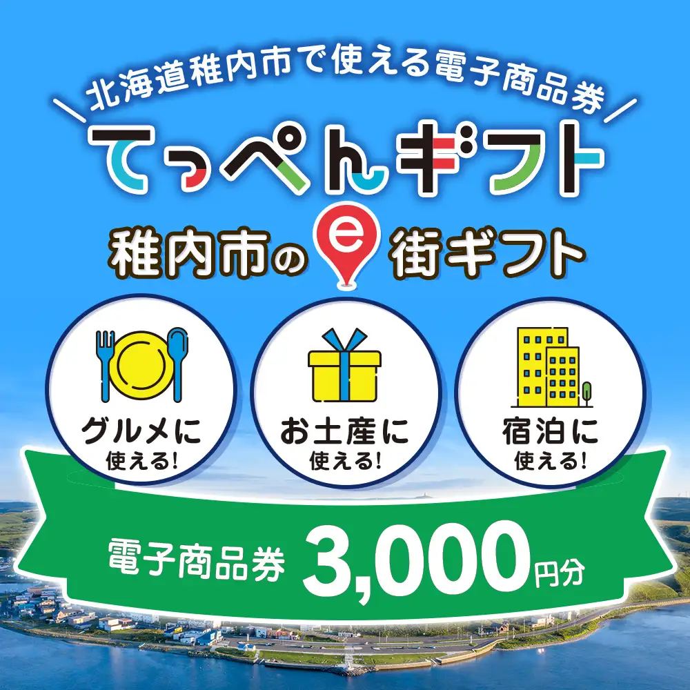  【ふるさと納税】稚内市e街ギフト 3,000円分