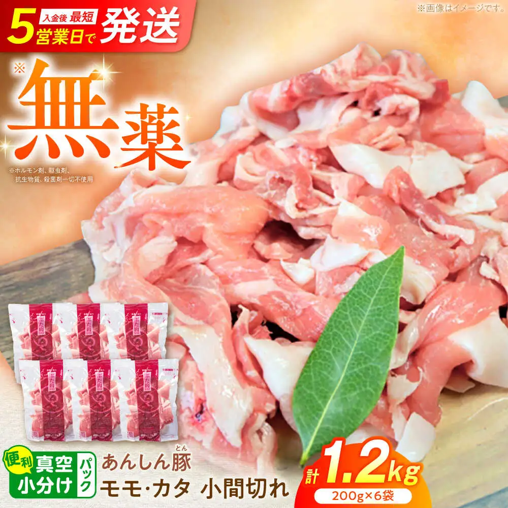 豚肉 こま切れ 計1.2kg 藤井ファーム[AWAF060]豚こま