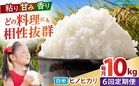 【全6回定期便】 ヒノヒカリ 白米 10kg 【有限会社江北商会】[HDK003]