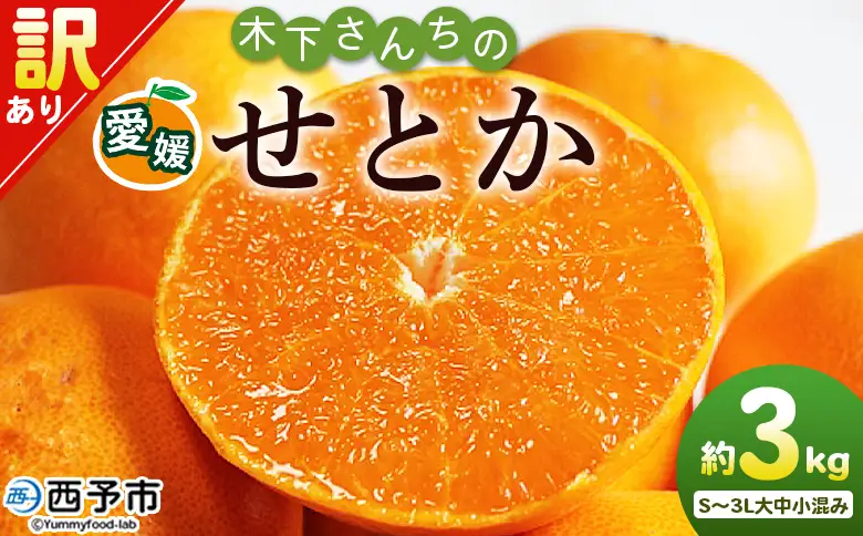 ＜木下さんちのせとか 訳あり 約3kg（S～3L大中小混み）＞ 訳アリ 家庭用 自宅用 柑橘 ミカン みかん 蜜柑 果物 くだもの フルーツ 国産 特産品 木下農園 愛媛県 西予市【常温】『2027年2月下旬～3月下旬に順次出荷』MKS0010