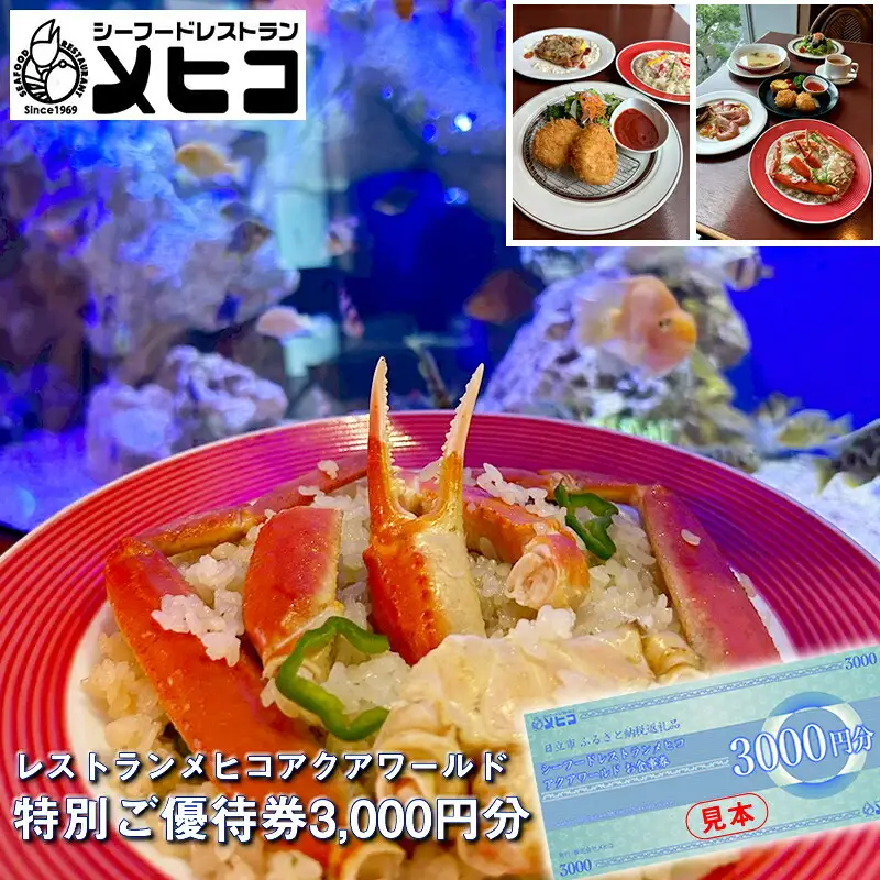 レストランメヒコアクアワールド特別ご優待券3000円分【 お食事券 茨城県 日立市 】
