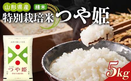【令和7年産】山形県産 特別栽培米つや姫 精米5kg F2Y-4808
