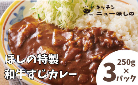 キッチンニューほしの  ほしの特製和牛すじカレー(1人前)250g×3パック　【11100-2179】