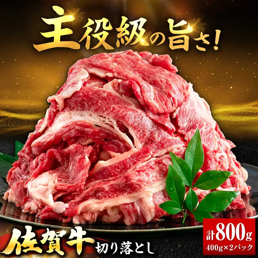 佐賀牛 切り落とし 400g × 2パック 計 800g 牛肉 肉 小分け 吉野ヶ里町/上場食肉[FDQ009]