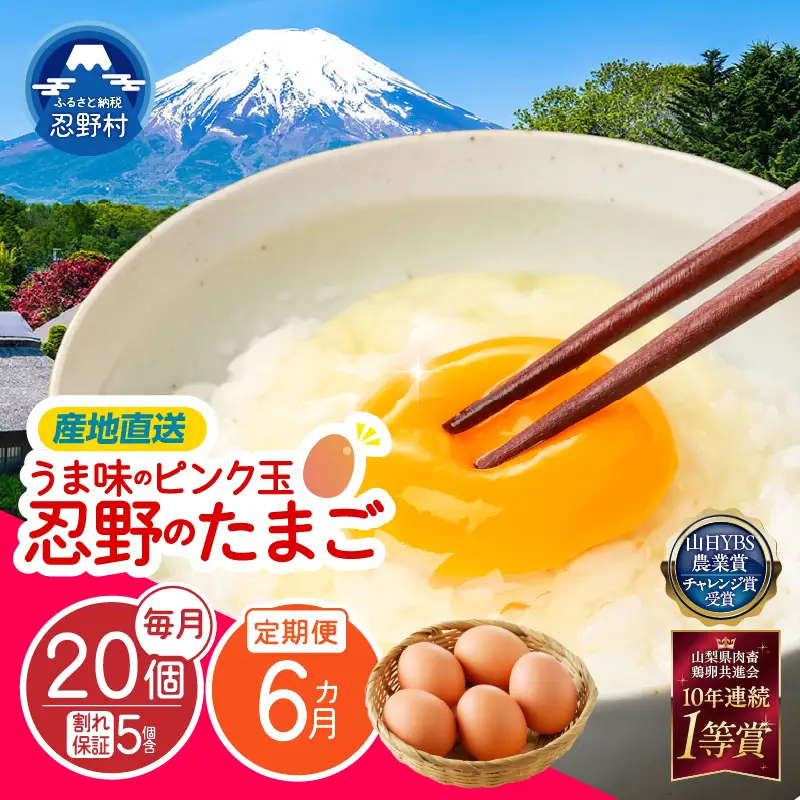 【6ヶ月定期便】”忍野の卵”旨味のピンク玉20個×6回 ※割れ保証含む 卵