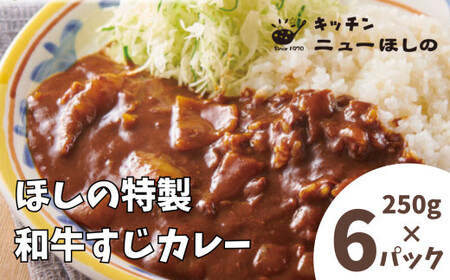 キッチン  ニューほしの  ほしの特製和牛すじカレー(1人前)250g×6パック　【11100-2188】