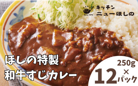 キッチンニューほしの  ほしの特製和牛すじカレー(1人前)250g×12パック　【11100-2197】