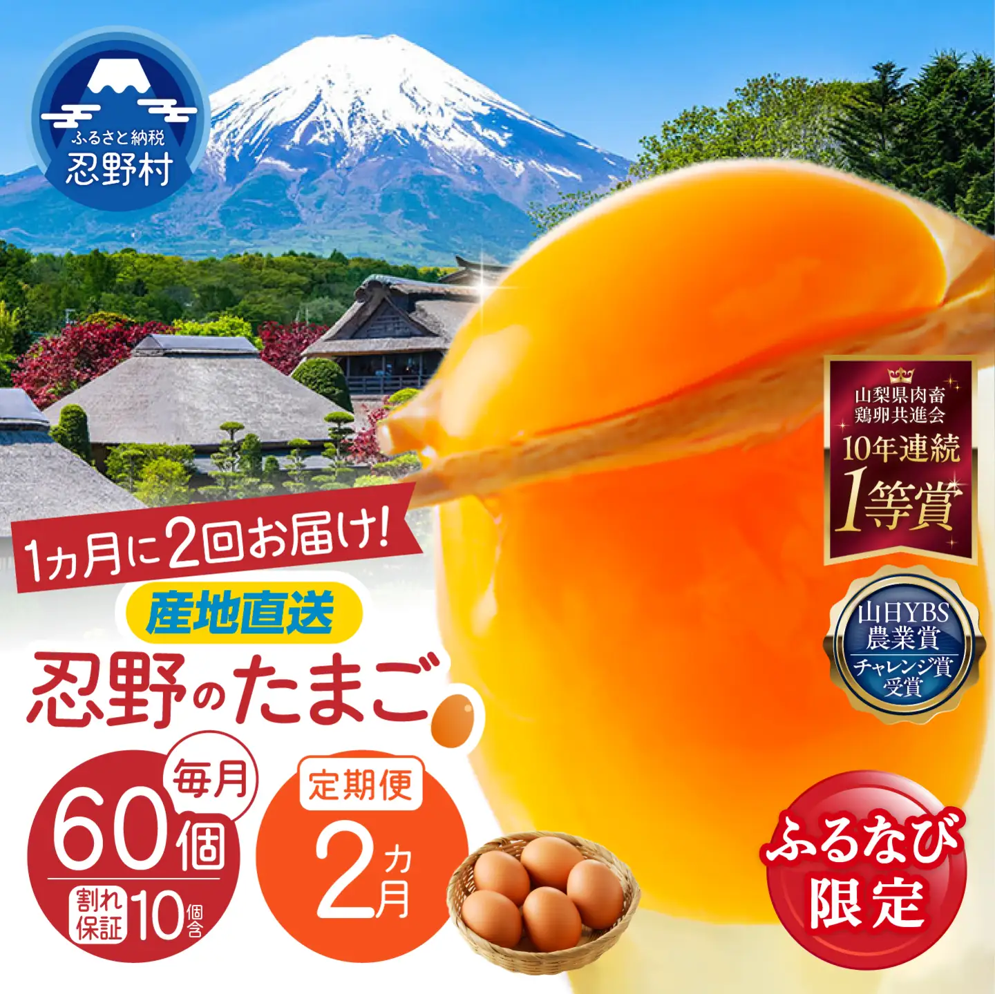 【ふるなび限定】【月2回お届け・2ヶ月定期便】”忍野の卵”コクの赤玉30個×4回 ※割れ保証含む　FN-Limited-SP