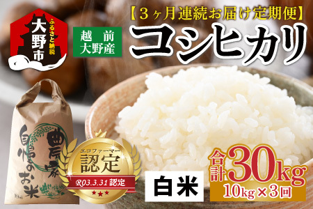 【先行予約】【令和8年産 新米】【3ヶ月定期便】越前大野産 エコファーマー認定農家栽培 こしひかり 白米 10kg × 3回 計30kg【2026年10月より順次発送】[E-001004_01]
