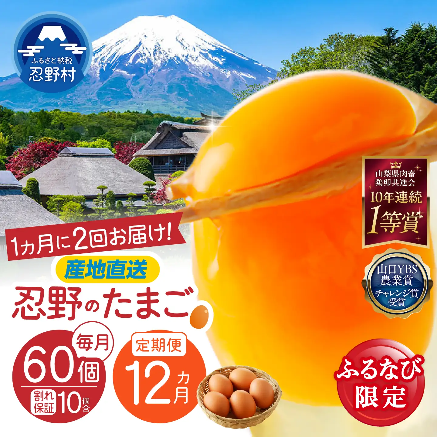 【ふるなび限定】【月2回お届け・12ヶ月定期便】”忍野の卵”コクの赤玉30個×24回 ※割れ保証含む　FN-Limited-SP
