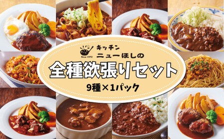 キッチンニューほしの  全種欲張りセット【9種×各1パック】【11100-2441】