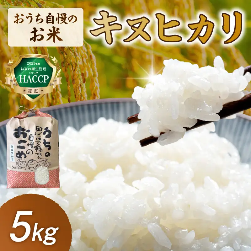 【1298】おうち自慢のお米　キヌヒカリ5kg