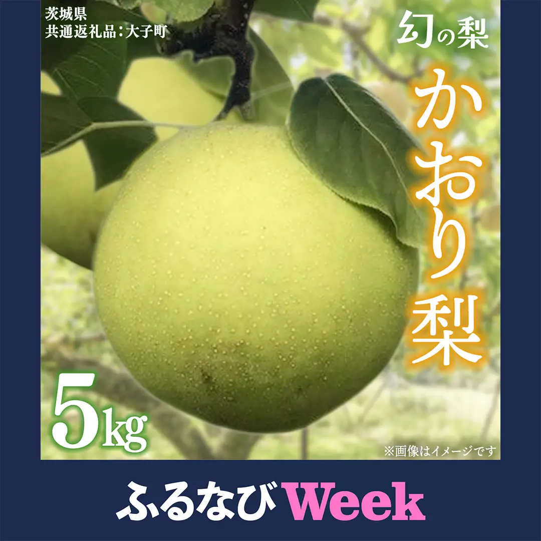 【ふるなびWEEK対象】 かおり 梨 5kg 【2026年8月中旬発送開始】(茨城県共通返礼品：大子町)