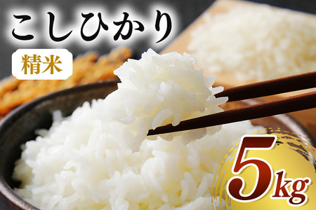 【令和７年産】コシヒカリ（精米）5kg B08-004