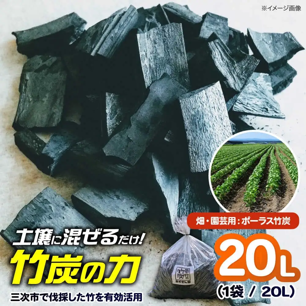 畑・園芸用 ポーラス竹炭 20L [APDE001] 炭