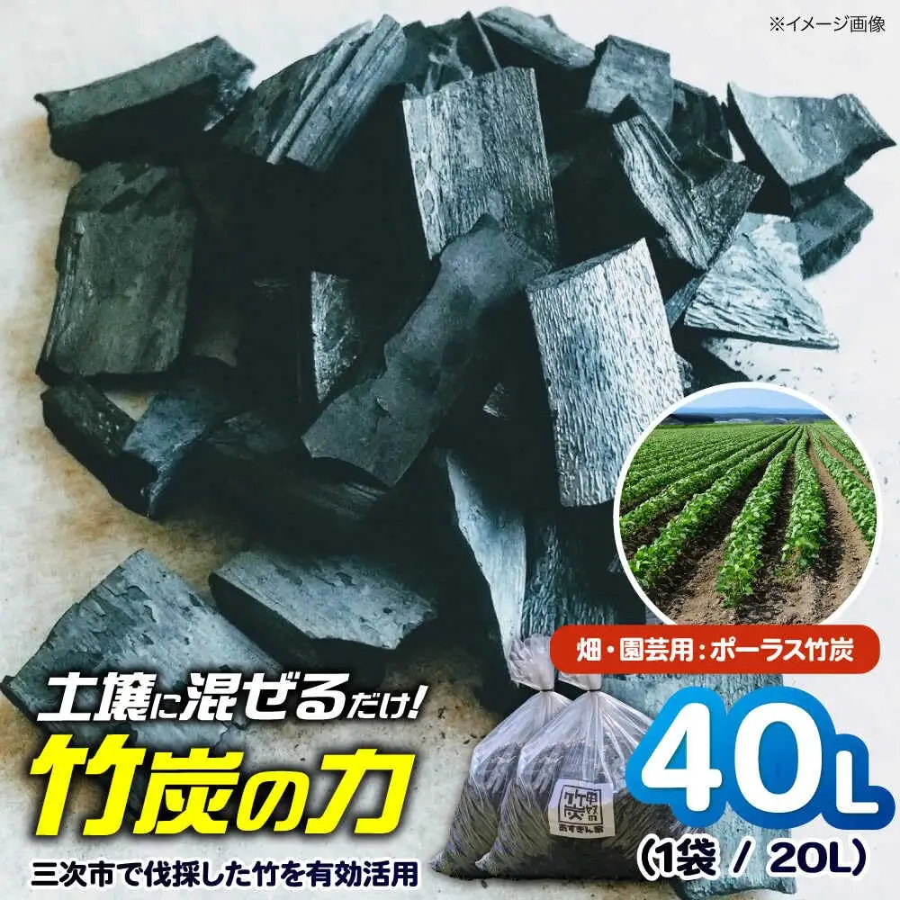 畑・園芸用 ポーラス竹炭 40L [APDE002] 炭