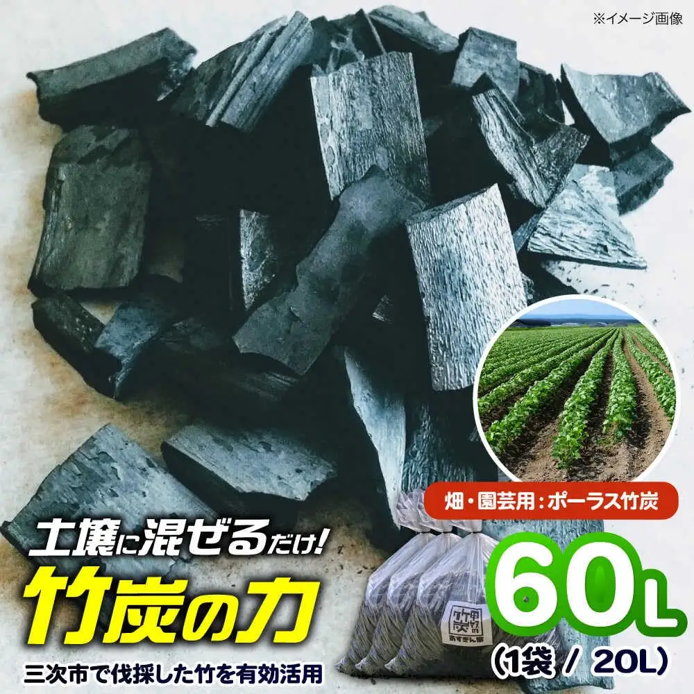 畑・園芸用 ポーラス竹炭 60L [APDE003] 炭