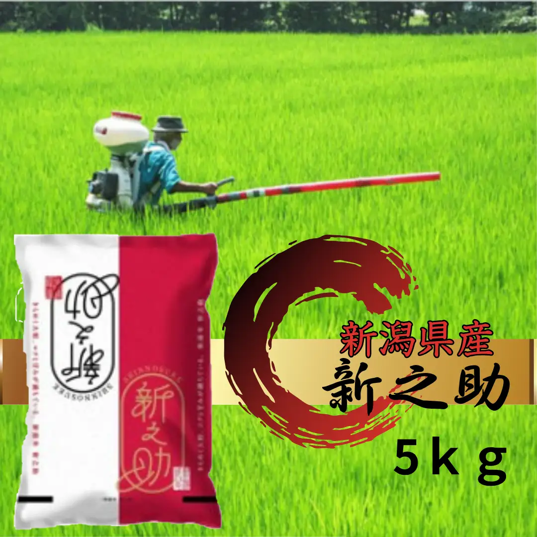 【令和7年産】阿賀野市産「新之助」5kg（5kg×1袋） 安田興和農事 白米 精米 生産者直送 新潟県 米 こめ コメ 1W10016