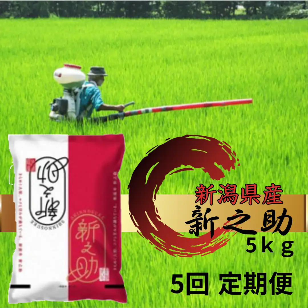【令和7年産】【5回定期便】阿賀野市産「新之助」5kg（5kg×1袋） 安田興和農事 白米 精米 新潟県 米 こめ コメ 1W11076
