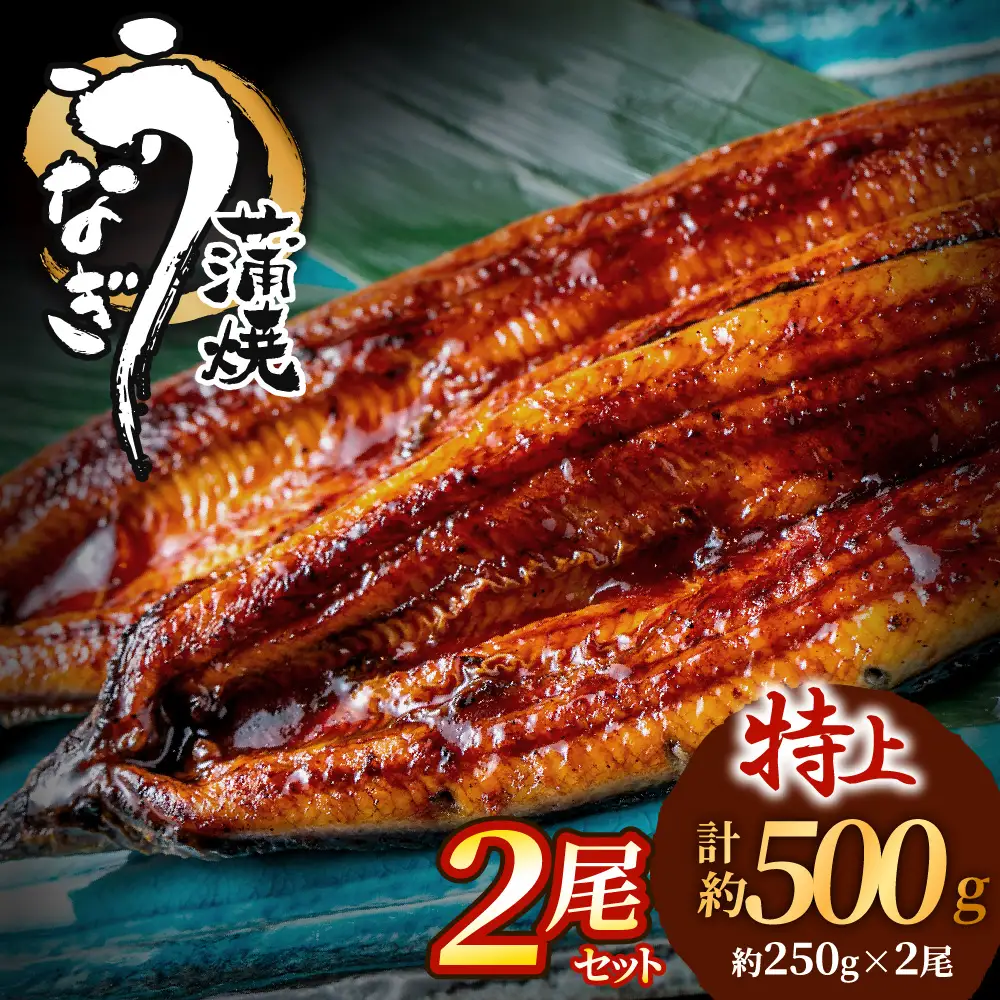 うなぎ蒲焼き 2尾セット(約250g×2尾セット) _HA1964 | うなぎ 鰻