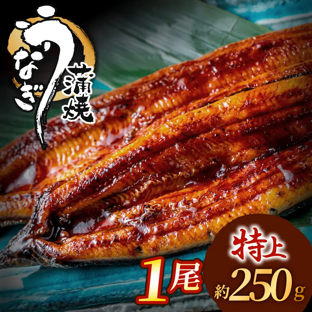 うなぎ蒲焼き 1尾セット(約250g×1尾セット) _HA1963 | うなぎ 鰻
