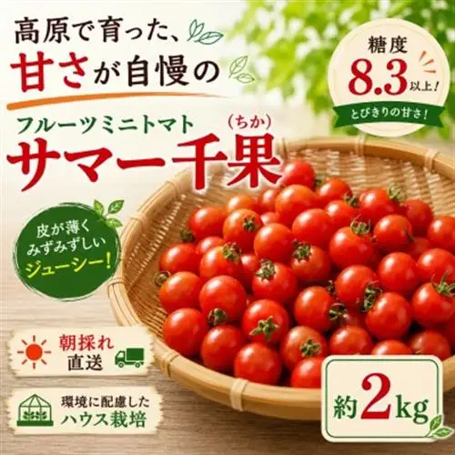 【先行受付】蓼科野菜　八ヶ岳産高原育ちのフルーツミニトマト サマー千果 約2kg【配送不可地域：離島】【1645910】