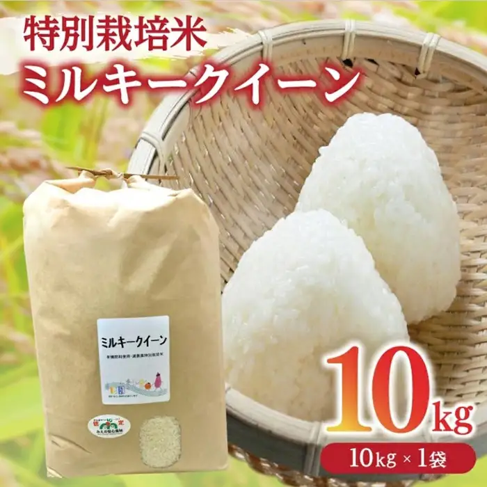 ミルキークイーン精米 10kg [ ミルキークイーン ] / 002310D