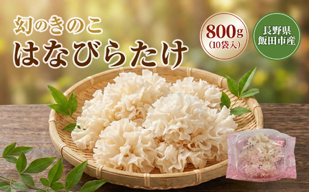 生 はなびらたけ | きのこ 長野県 飯田市