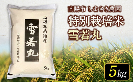 【米食味コンクール金賞受賞農園】令和7年産 特別栽培米 雪若丸 5kg 『しまさき農園』 山形南陽産 米 白米 精米 ご飯 農家直送 山形県 南陽市 [2555]