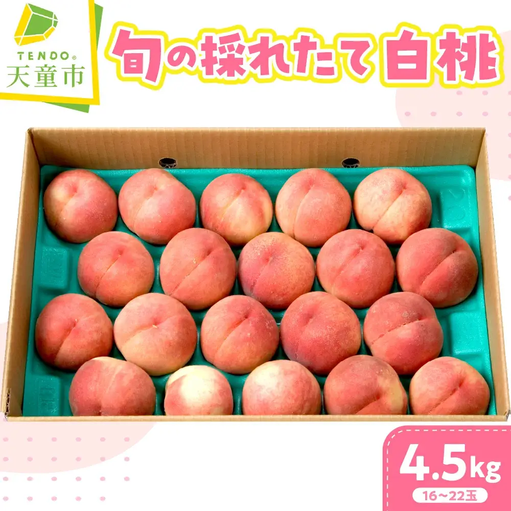 旬の採れたて 桃 4.5kg 白桃