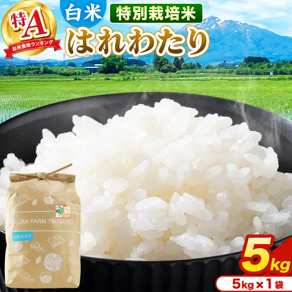 米【特別栽培米】はれわたり 白米 5kg（5kg×1袋）令和7年産 特A 青森県弘前市産