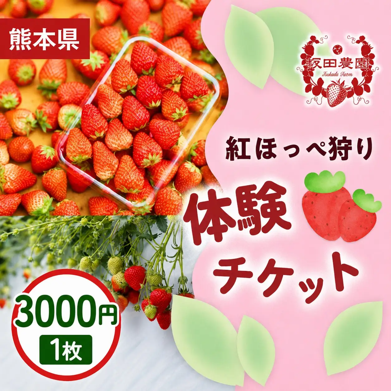 いちご狩り体験割引券 紅ほっぺ狩り体験チケット 3,000円×1枚  1セット 