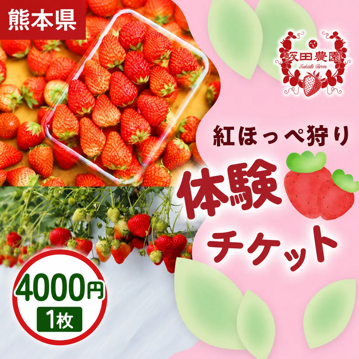 いちご狩り体験割引券 紅ほっぺ狩り体験チケット 4,000円×1枚  1セット