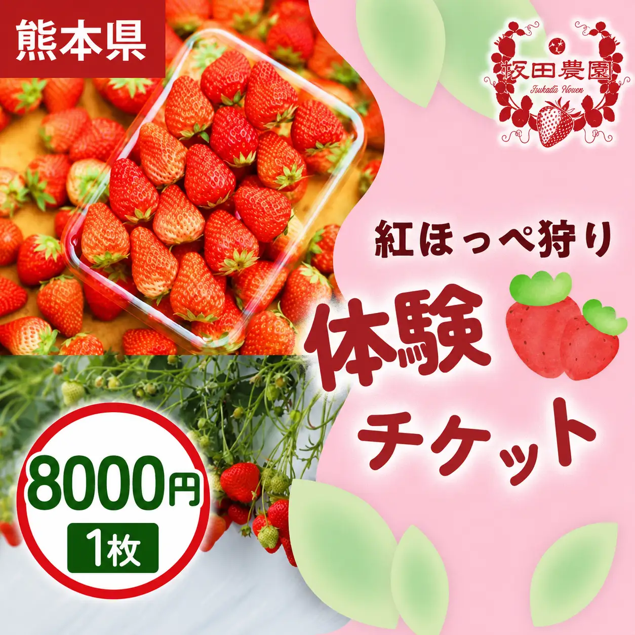 いちご狩り体験割引券 紅ほっぺ狩り体験チケット 8,000円×1枚  1セット 