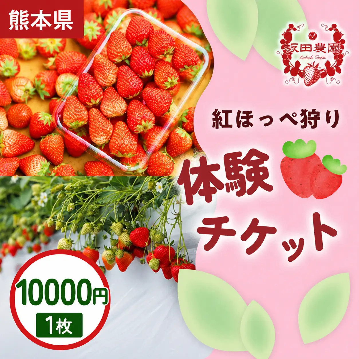 いちご狩り体験割引券 紅ほっぺ狩り体験チケット 10,000円×1枚  1セット