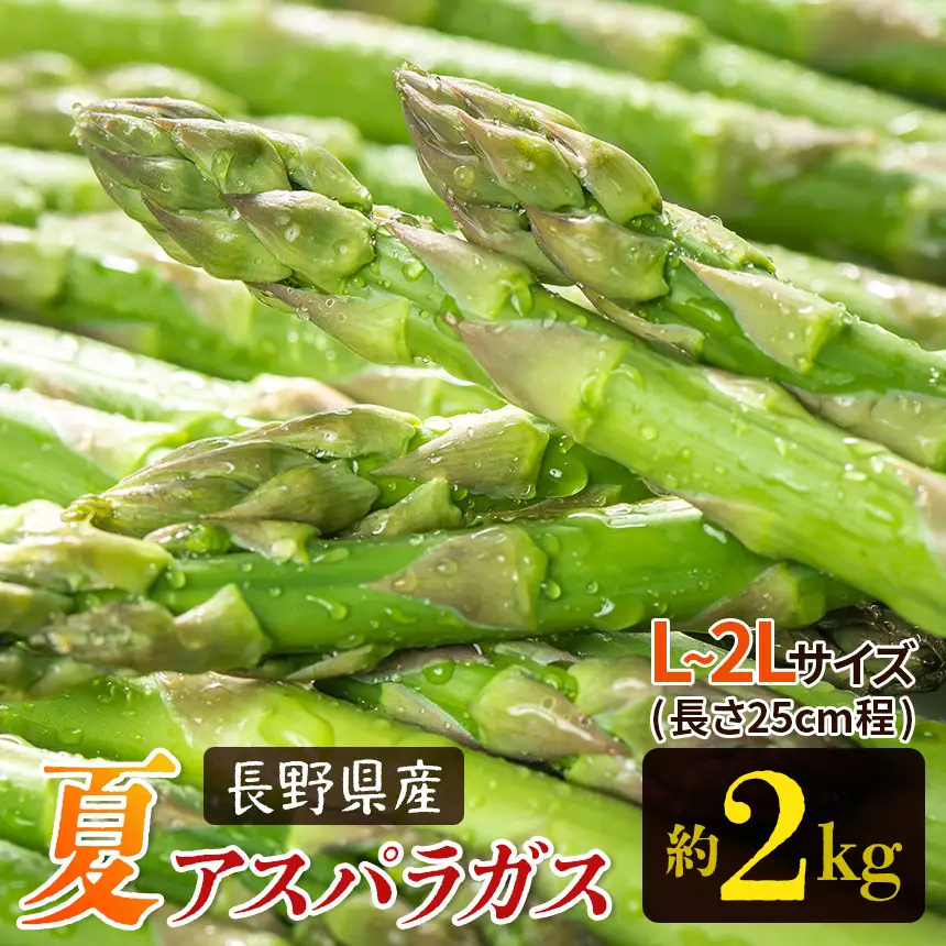 【先行予約】夏 アスパラガス 約2kg 農家直送 ハウス栽培（路地栽培あり）| 野菜 やさい ヤサイ 根物 ねもの ネモノ アスパラ あすぱら アスパラガス あすぱらがす 夏 旬 出荷 長野県 木島平村 ハウス栽培 路地栽培 農家 直送