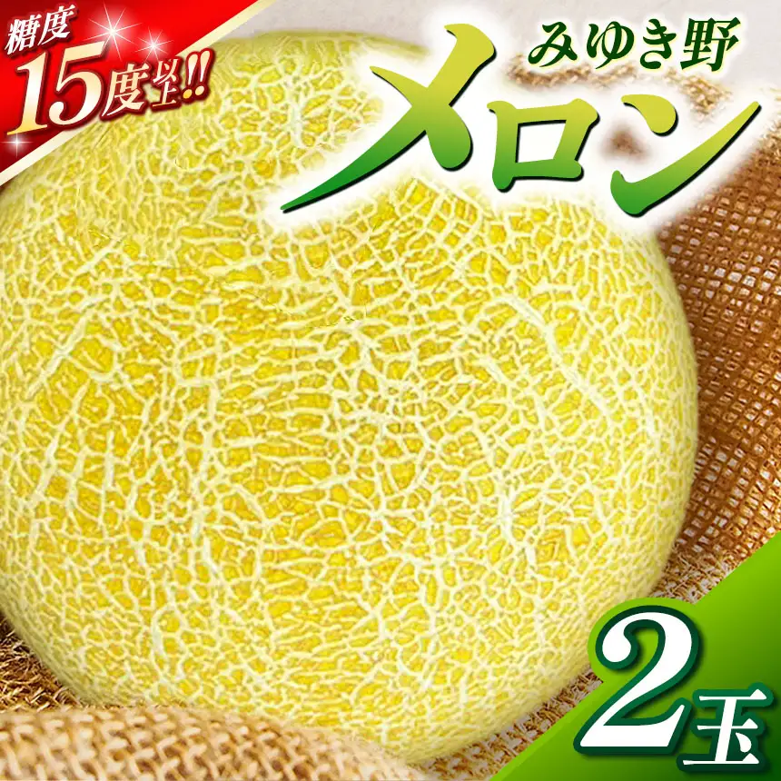 みゆき野メロン2玉 | メロン みゆき野メロン みゆき野 フルーツ 信州 木島平 北信州