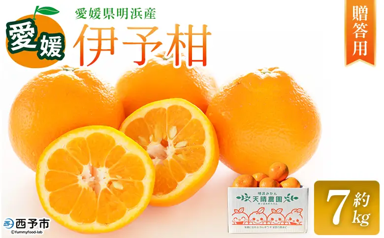 ＜伊予柑 贈答用 約7kg＞ ギフト いよかん イヨカン みかん 蜜柑 柑橘 果物 くだもの フルーツ ミカン 愛媛 国産 7キロ 果汁 ジューシー 明浜 特産品 笑丸 愛媛県 西予市【常温】『2026年1月下旬より順次出荷予定』AAN0072