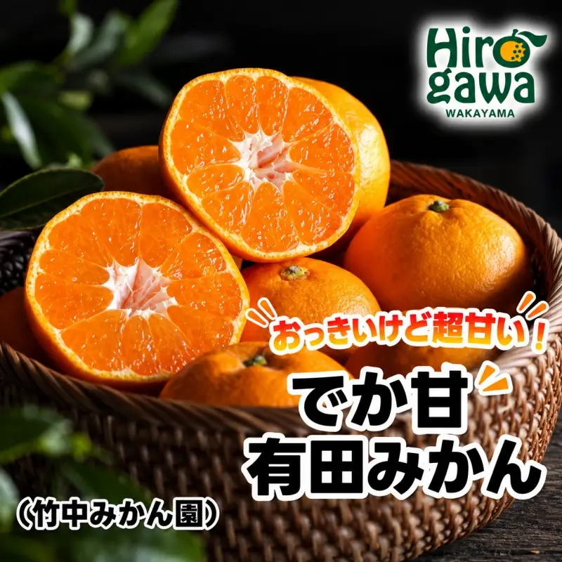 【でか甘】有田みかん 7kg 大玉みかん L～2L混合【tkn004-l-7A】