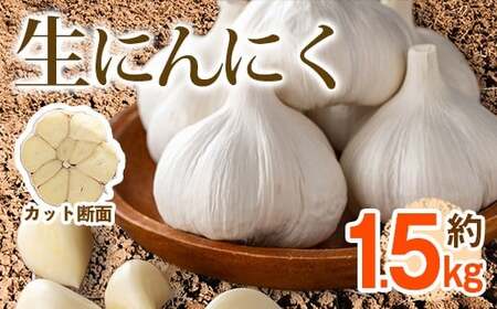 ＜先行予約！2027年5月上旬以降順次発送予定＞生にんにく(約1.5kg) 国産 野菜 生ニンニク 産地直送【man357】【Aglio nero】