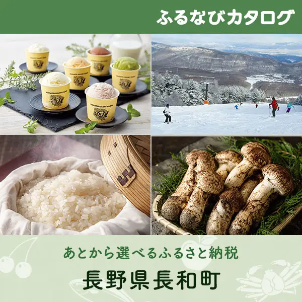 【有効期限なし！後からゆっくり特産品を選べる】長野県長和町カタログポイント