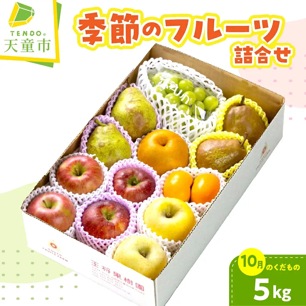 季節 の フルーツ 詰合せ 5kg 10月分 果物 山形 フルーツ