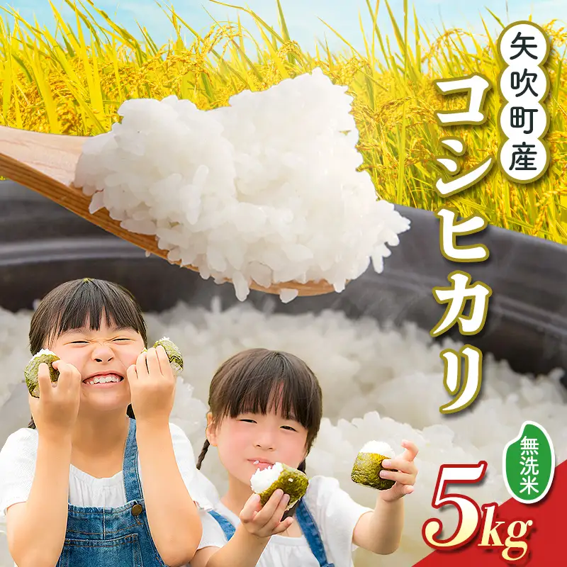 矢吹町産 コシヒカリ 令和7年産米 無洗米 5kg F6U-476