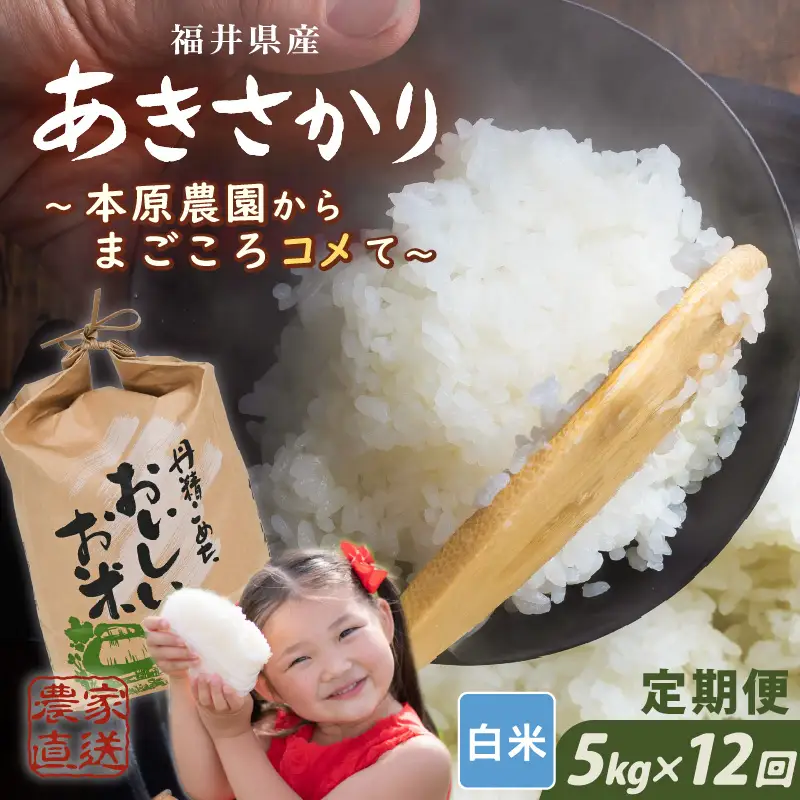 先行予約 令和8年産 新米 (白米) 定期便 12ヶ月連続お届け あきさかり 5kg × 12回 計60kg ブランド米 米 2026年10月上旬以降順次発送 [K-8911_01]