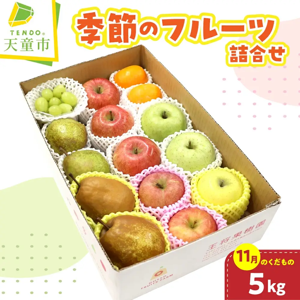 季節 の フルーツ 詰合せ 5kg 11月分 果物 山形 フルーツ