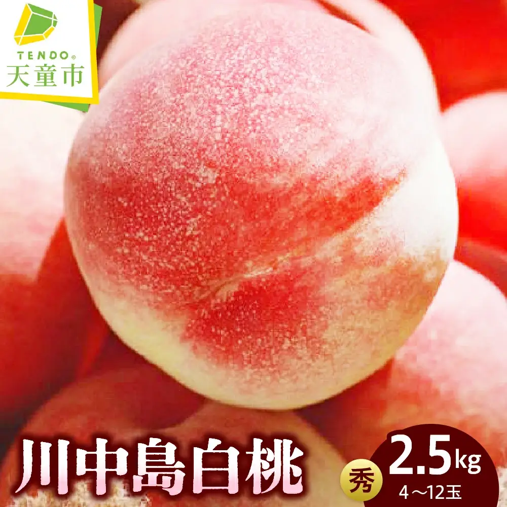 もも 川中島白桃 2.5kg フルーツ 果物 山形 桃