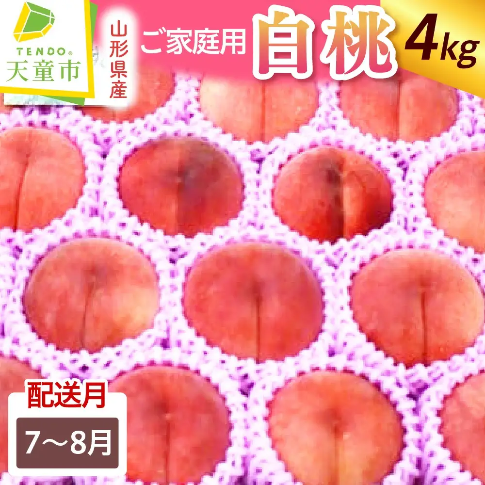 もも 白桃 7.8月 ご家庭用 4 ～ 4.5kg フルーツ 山形