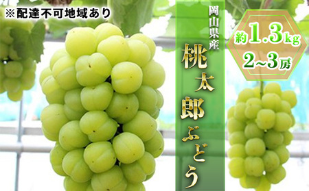 ぶどう 2026年 先行予約 桃太郎ぶどう約1.3kg 2～3房  岡山県産