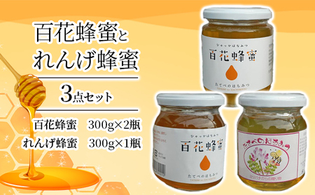 ＜ 百花 蜂蜜 2瓶＞と＜ れんげ 蜂蜜 1瓶＞の3点 セット はちみつ
